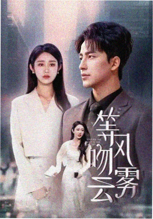Netflix美剧第七号证词海报